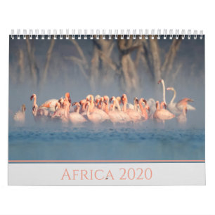 Calendrier Afrique 2020 Faune