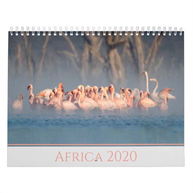 Calendrier Afrique 2020 Faune (Protection)