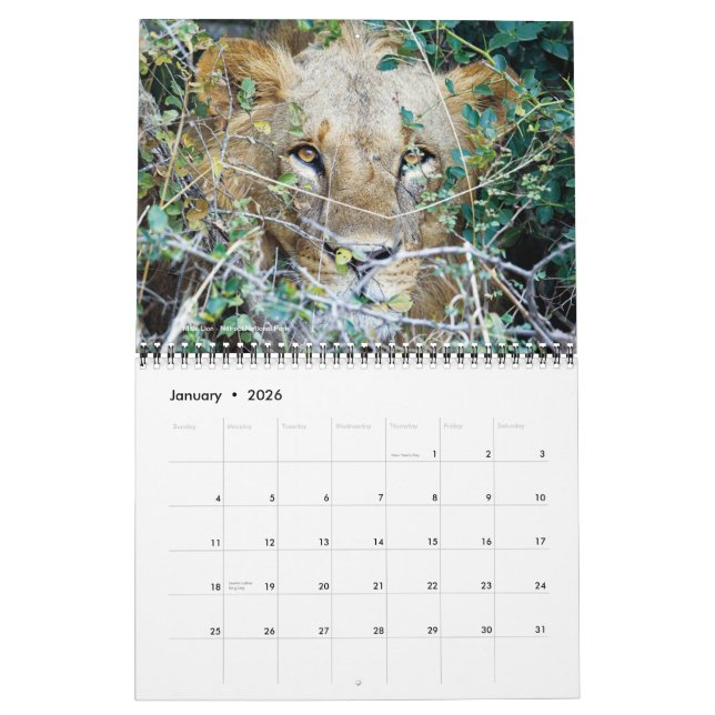 Calendrier - Afrique sur le safari (Jan 2026)