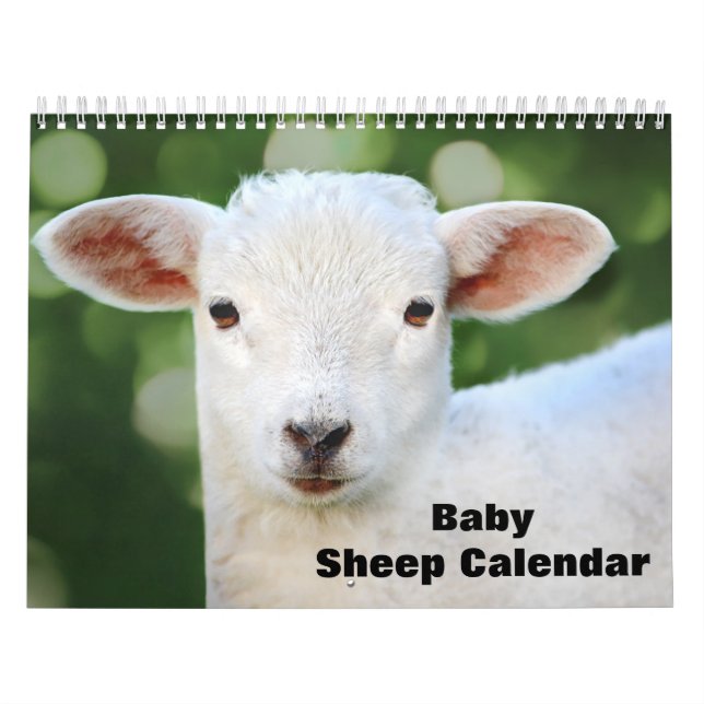 Calendrier Agneau à mouton pour bébé 2025 (Protection)
