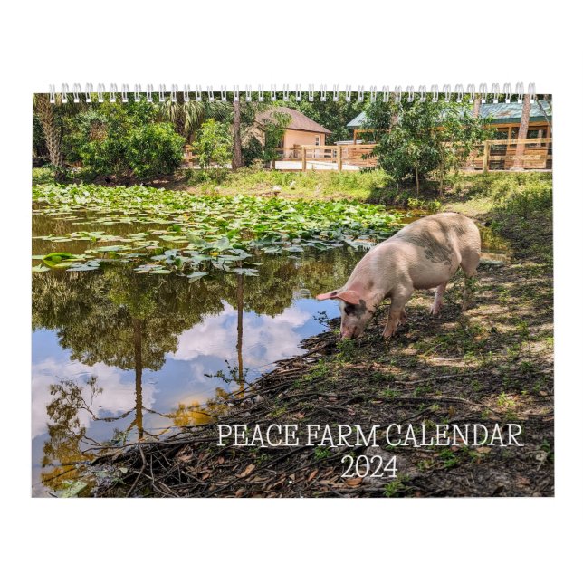 CALENDRIER AGRICOLE DE PAIX 2024 (Protection)