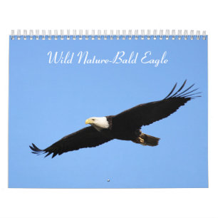 Calendrier Aigle sauvage de la nature