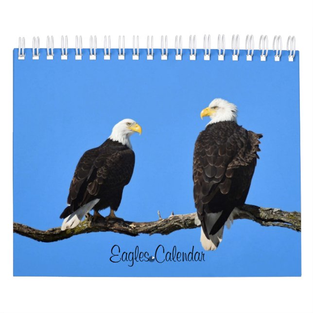 Calendrier Aigles 2 (Protection)