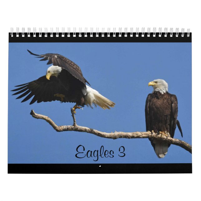 Calendrier Aigles 3 (Protection)
