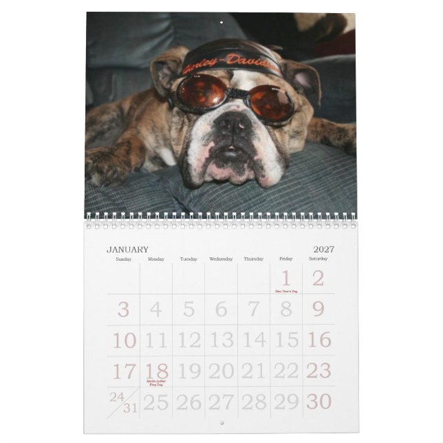 Calendrier Aimez ce bouledogue Calander (Jan 2027)
