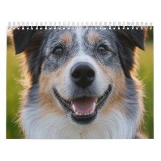 Calendrier Ajouter une photo de l'animal personnaliser