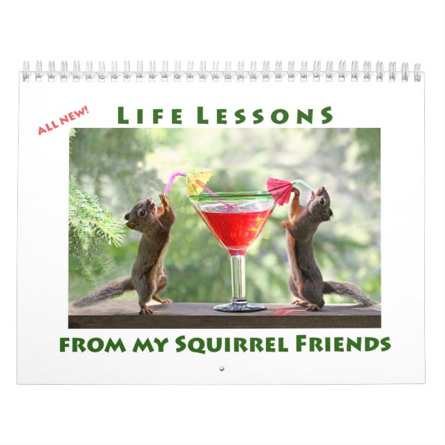 Calendrier All Star Squirrel Calendar - New Life Lessons (Protection)