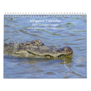 Calendrier Alligators dans la nature 2026