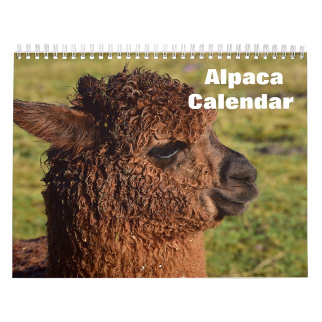 Calendrier Alpaca 2025 (Protection)