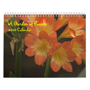 Calendrier Amaryllis orange