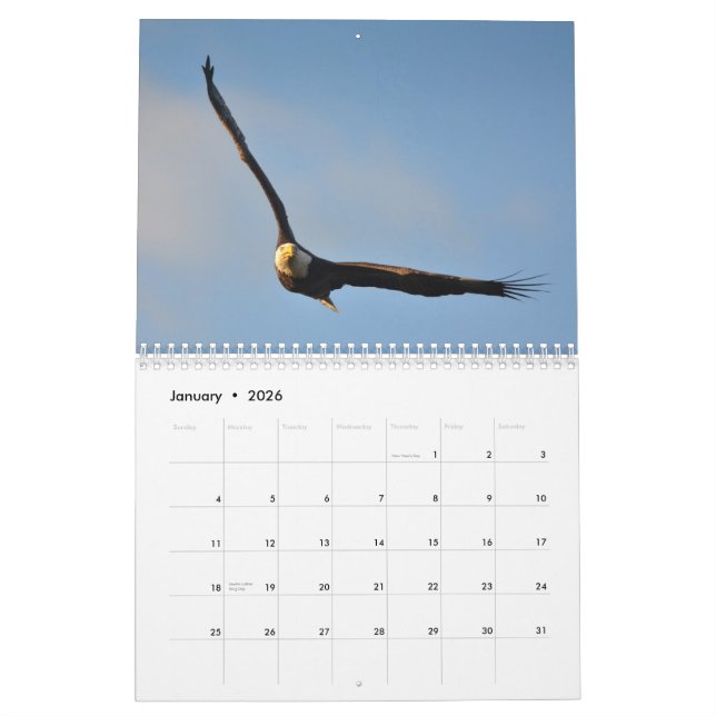 Calendrier américain d'Eagle chauve 2014 (Jan 2026)