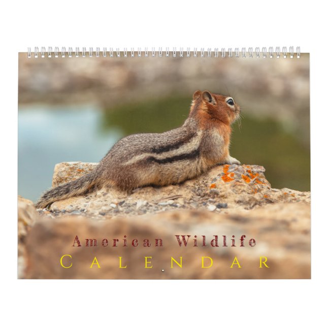 Calendrier American Wildlife (Protection)