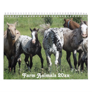 Calendrier Amérique rurale Animaux de ferme