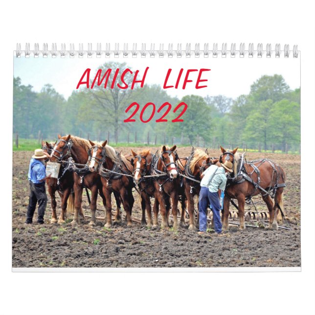 CALENDRIER AMISH LIFE 2022      (Protection)