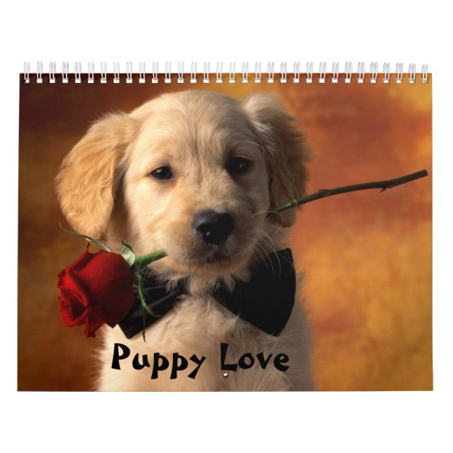 Calendrier Amour de chiot (Protection)