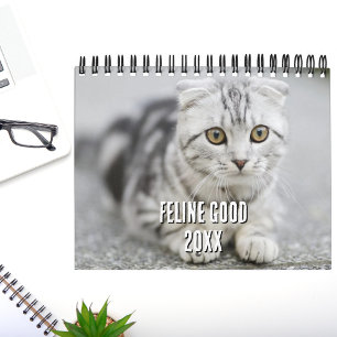 Calendrier Amoureux de chatons Photomontage et blagues de cha