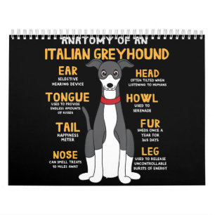 Calendrier Anatomie de l'italien Greyhound Funny Chien Maman 
