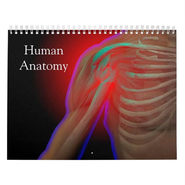 Calendrier Anatomie humaine (Protection)