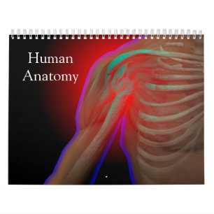 Calendrier Anatomie humaine