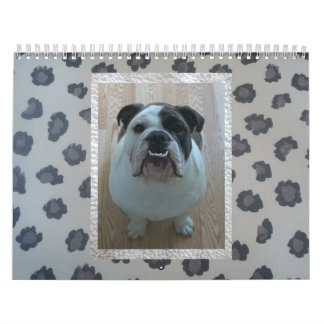 Calendrier anglais de bouledogue !