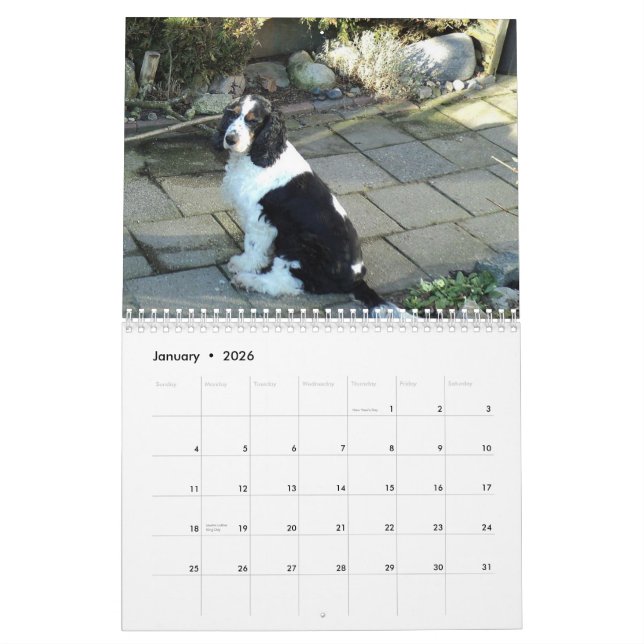 calendrier anglais de cocker (Jan 2026)