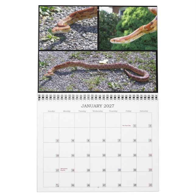 Calendrier animal (Jan 2027)