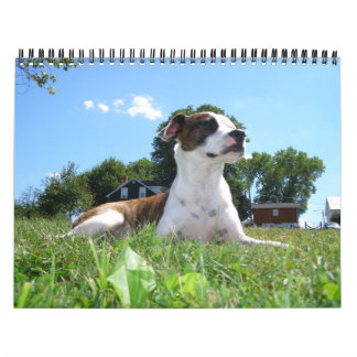 Calendrier animal