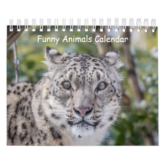 Calendrier animal amusant