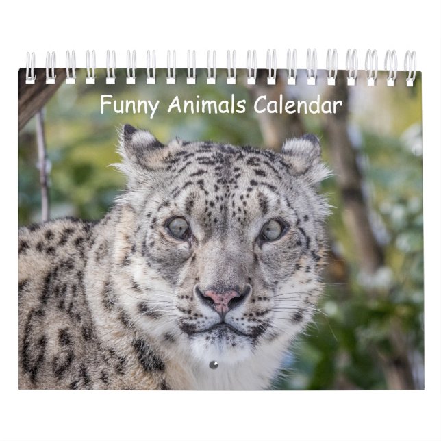 Calendrier animal amusant (Protection)