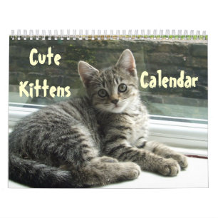 Calendrier Animal Cute Kitten Chat Peace Love Destinée