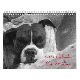 Calendrier animal de compagnie 2011 : Chats et chi
