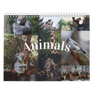 Calendrier animal pour les murs de maison et de bu