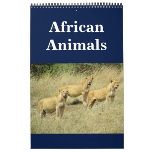 Calendrier animalie africaine