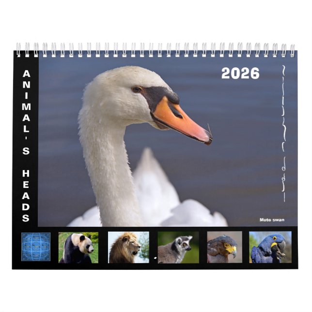 Calendrier Animal's heads 12 month calendar (Protection)
