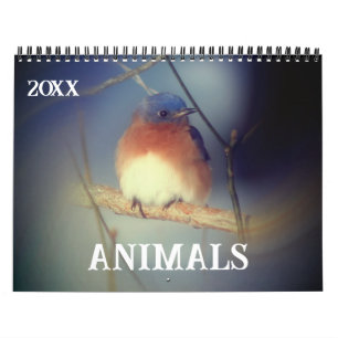 Calendrier Animaux