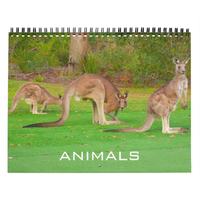 Calendrier animaux 2025 (Protection)