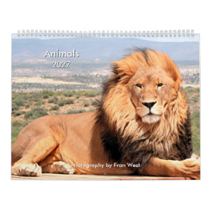Calendrier Animaux 2027