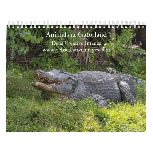 Calendrier Animaux à Gatorland 2026 (Protection)