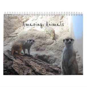 Calendrier Animaux Étonnants