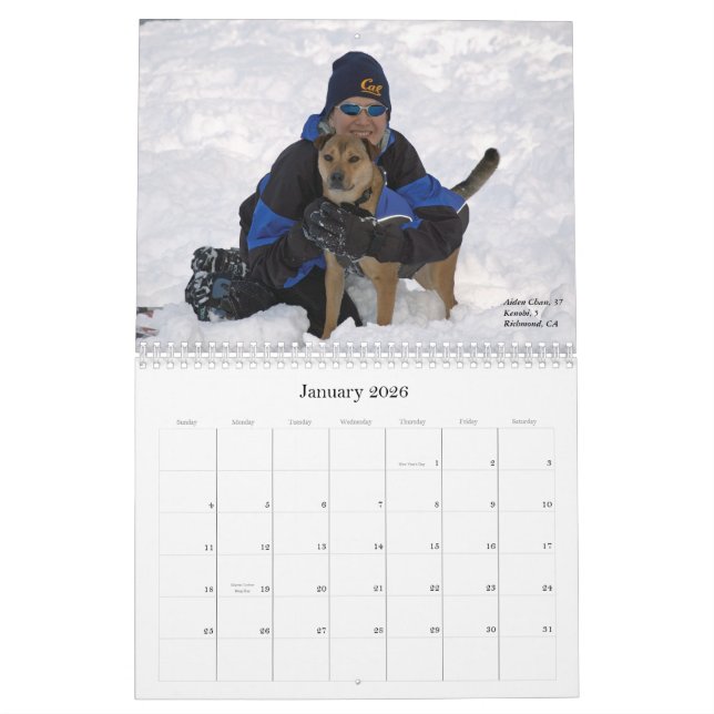 Calendrier Animaux familiers et leurs viragos, 2013 (Jan 2026)