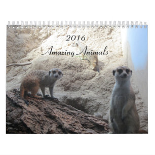 Calendrier Animaux intelligents