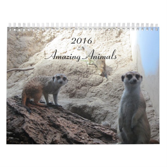 Calendrier Animaux intelligents (Protection)
