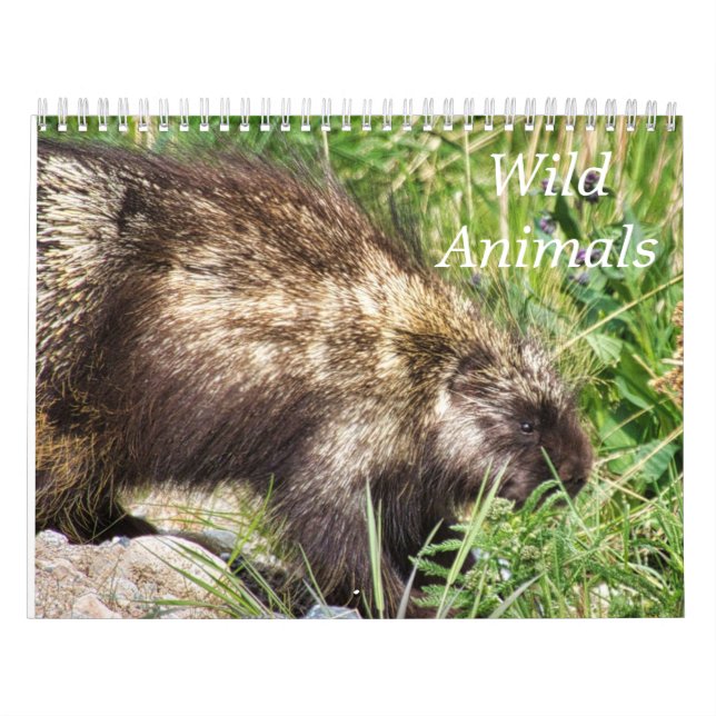 Calendrier Animaux sauvages (Protection)