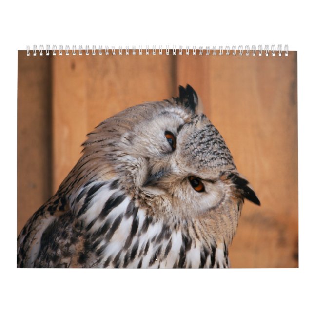 Calendrier Animaux Vous Regardant (Protection)