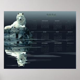 Calendrier annuel Poster White Wolf, Affiche de va