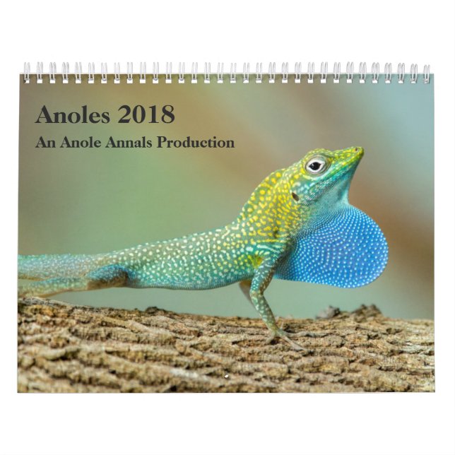 Calendrier Anoles 2018 - Une production d'annales d'Anole (Protection)