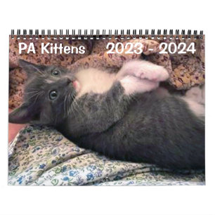 Calendrier AP Kittens 2 ans