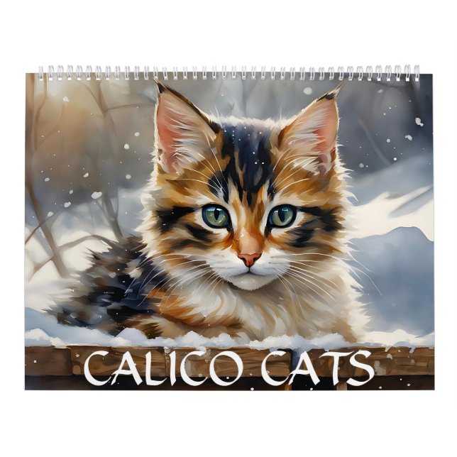 Calendrier Aquarelle Calico Cats Art 12 Mois 2026 Mur (Protection)