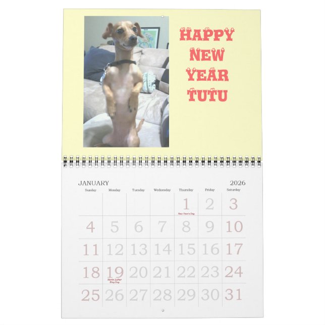 Calendrier Arachide la Chiweenie (Jan 2026)