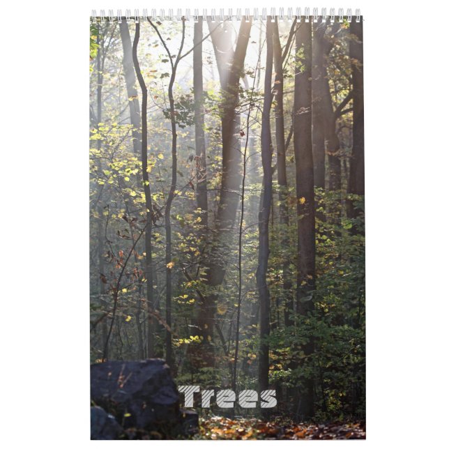 Calendrier - Arbres #1 (Protection)